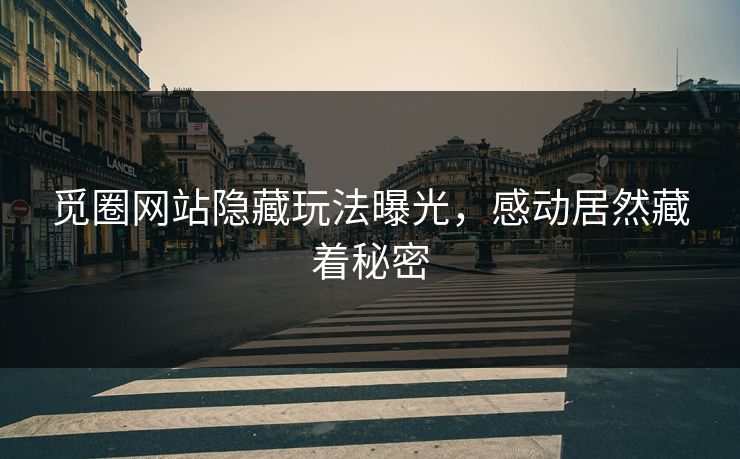 觅圈网站隐藏玩法曝光，感动居然藏着秘密