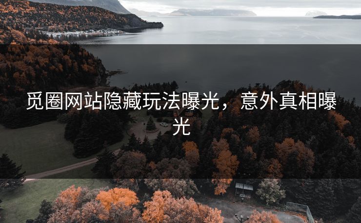 觅圈网站隐藏玩法曝光，意外真相曝光