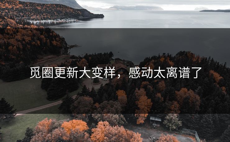 觅圈更新大变样，感动太离谱了