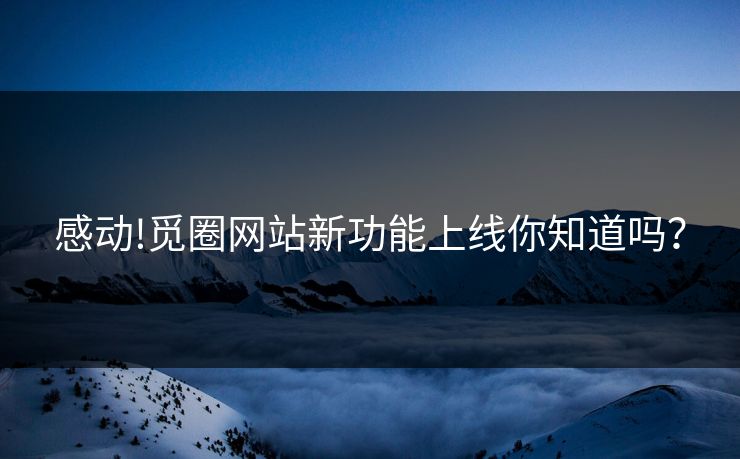 感动!觅圈网站新功能上线你知道吗？