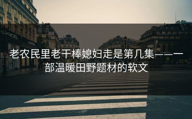 老农民里老干棒媳妇走是第几集——一部温暖田野题材的软文