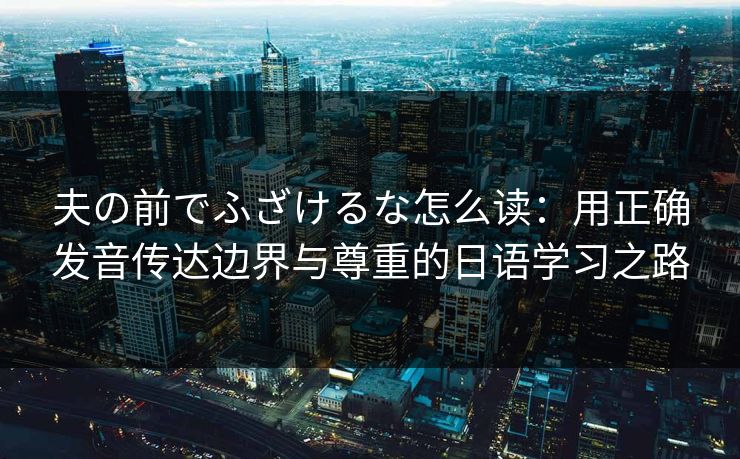 夫の前でふざけるな怎么读：用正确发音传达边界与尊重的日语学习之路