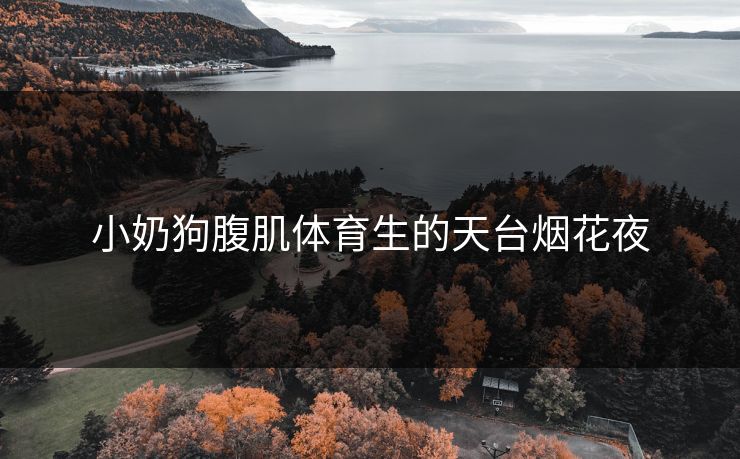 小奶狗腹肌体育生的天台烟花夜