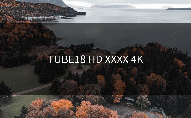 TUBE18 HD XXXX 4K