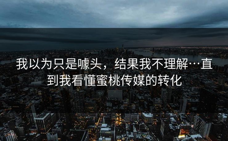 我以为只是噱头，结果我不理解…直到我看懂蜜桃传媒的转化